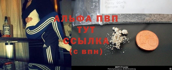 PSILOCYBIN Нязепетровск