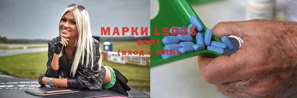 прущие грибы Дмитриев