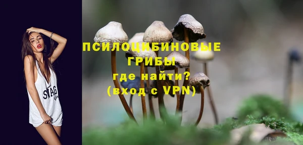 шишки Нягань